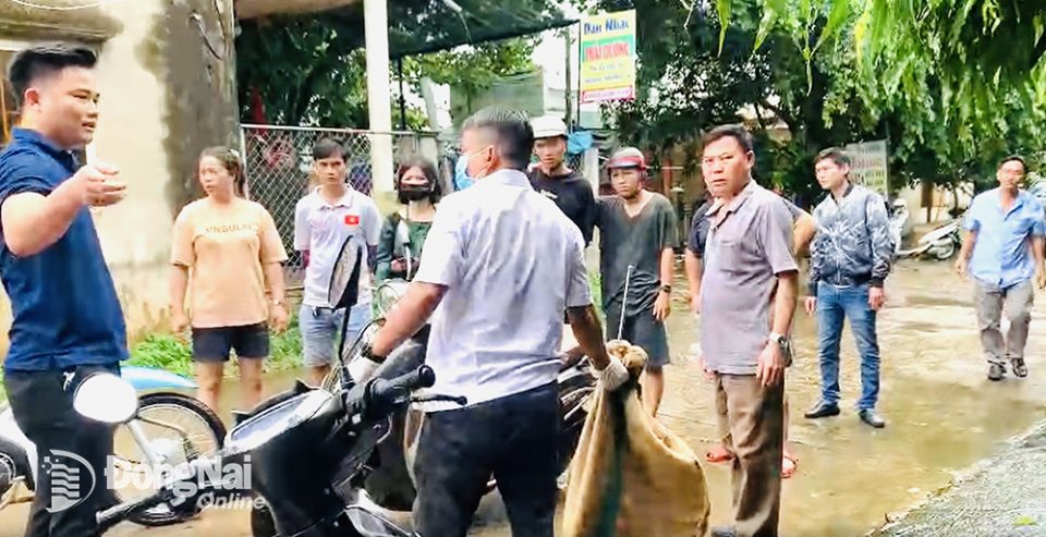 Thêm 1 ca tử vong do bệnh dại vì bị chó cắn - Những câu chuyện vui